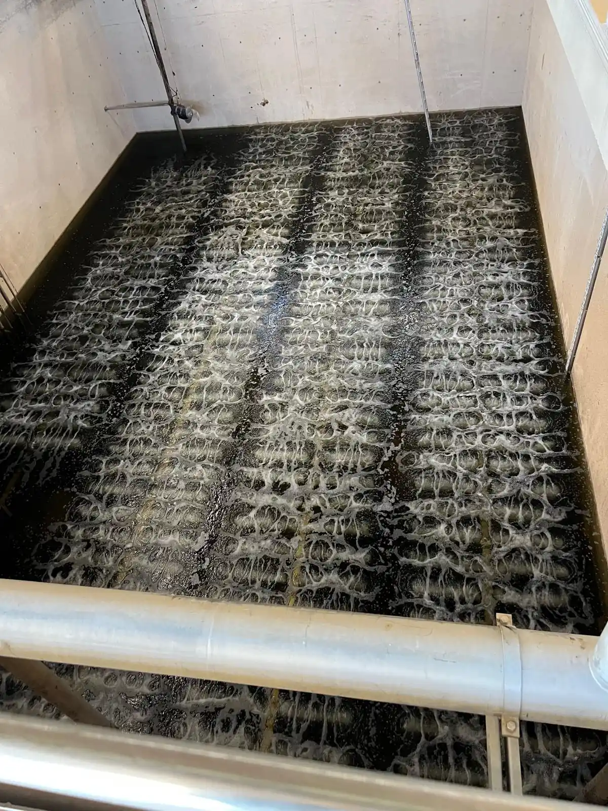 Installation de diffuseurs fines bulles BIOTRADE pour l'aération des eaux usées.