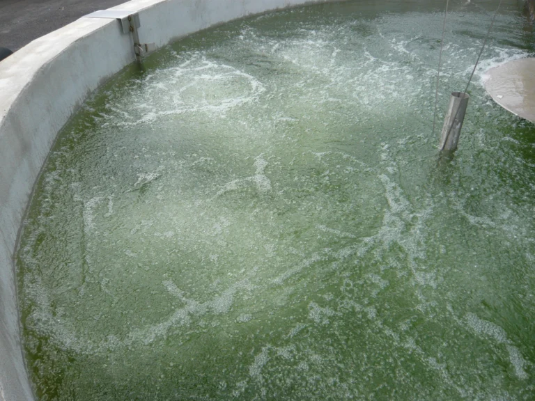 Turbine immergée AIRJET en bassin pour l'oxygénation et le brassage des eaux usées.