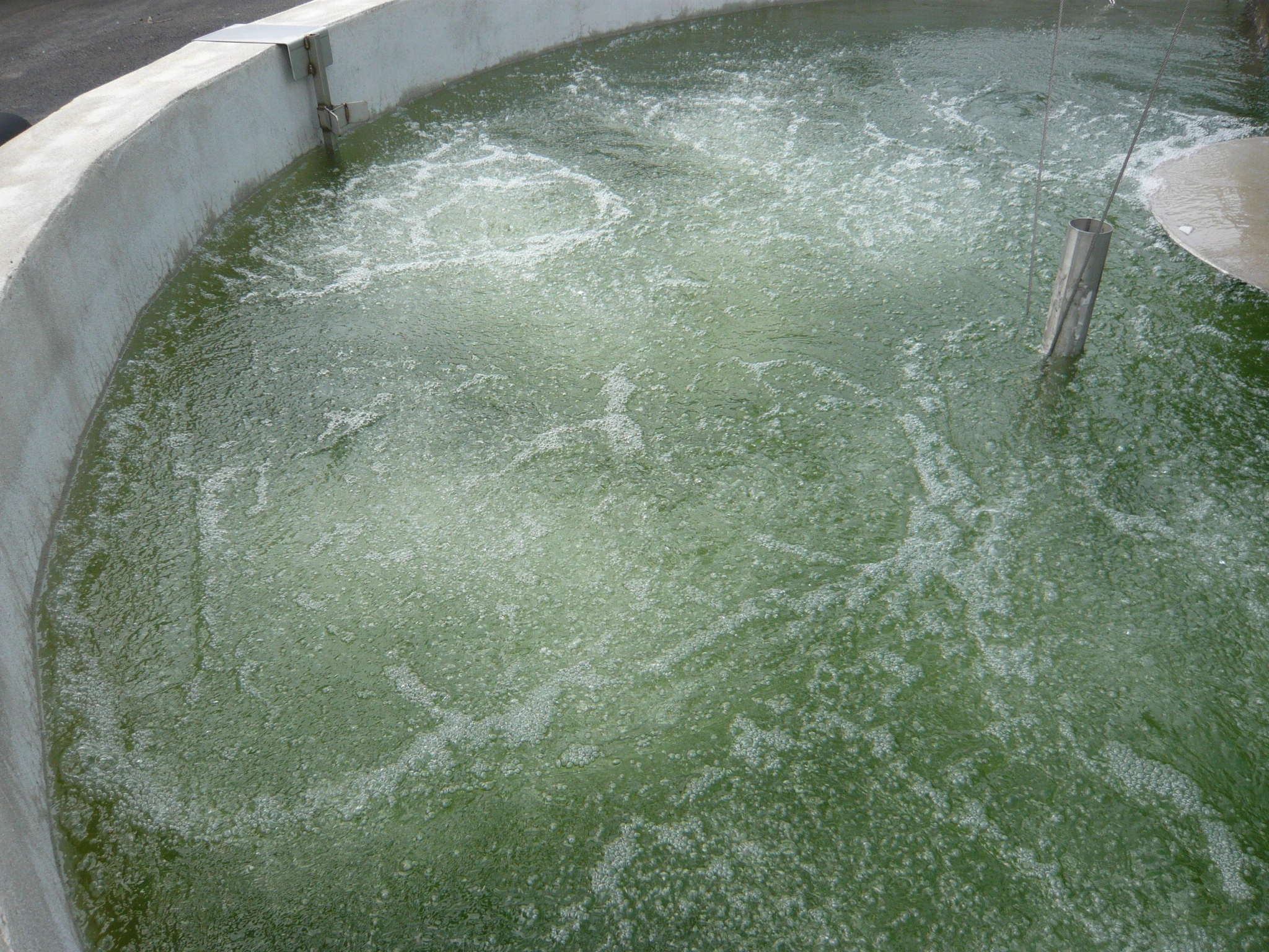 Turbine immergée AIRJET en bassin pour l'oxygénation et le brassage des eaux usées.