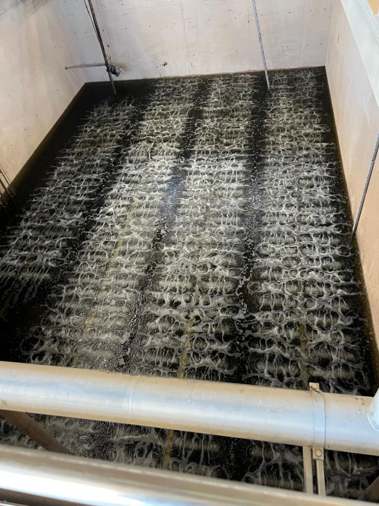 Bassin d'aération après renouvellement de 1 300 tubes diffuseurs par Biotrade, avec bullage homogène visible en surface de l'eau